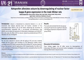 Ketoprofen alleviates seizure by downreregulating of nuclear factor kappa B gene expression in the male Wistar rats 
