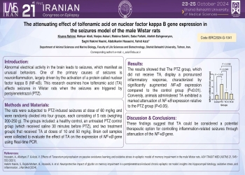The attenuating effect of tolfenamic acid on nuclear factor kappa B gene expression in the seizures model of the male Wistar rats 